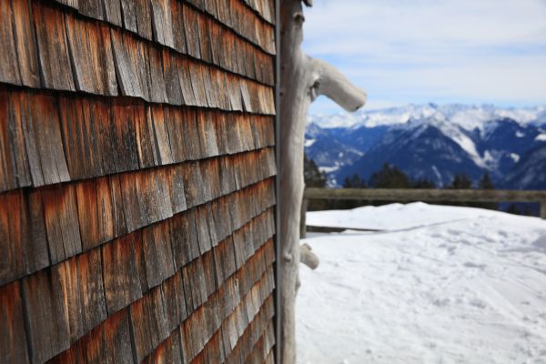 Cedar Siding Repair in Wylie