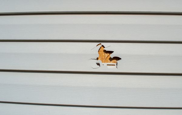 Siding Hole Repair in Wylie